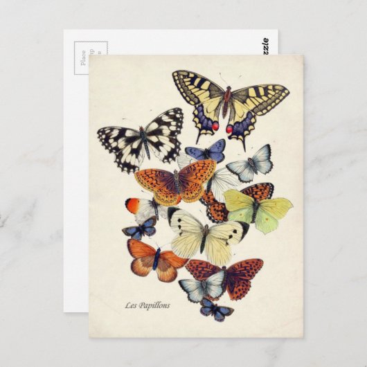 Carte Postale Papillons vintages (Devant / Derrière)