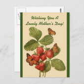 Carte Postale Papillons vintages Fête de maman (Devant / Derrière)