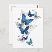 Carte Postale Papillons volants bleus Morpho (Devant / Derrière)