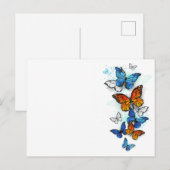 Carte Postale Papillons volants Morpho et Monarch (Devant / Derrière)