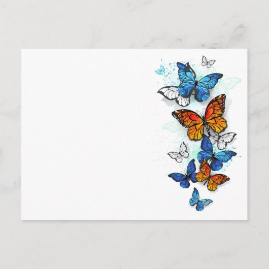 Carte Postale Papillons volants Morpho et Monarch (Devant)