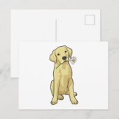 Carte Postale Pâquerette du Labrador (Devant / Derrière)