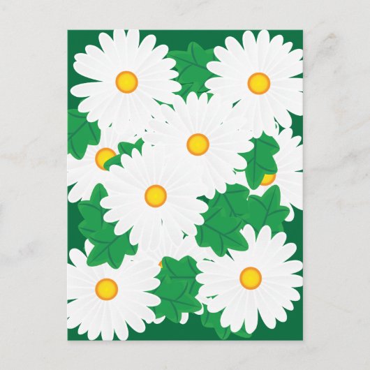 Carte Postale Pâquerettes (Devant)
