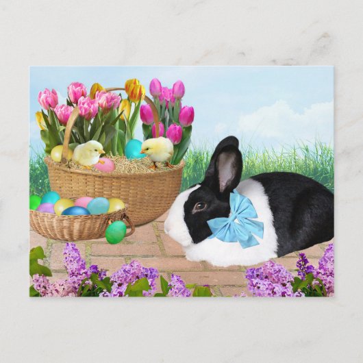 Carte postale Pâques Bunny Panier (Devant)