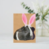 Carte Postale Pâques Cochon De Guinée Noir Et Blanc (Debout devant)