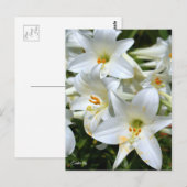 Carte Postale Pâques du Québec [Carte postale] ポ Afficher ー ド (Devant / Derrière)