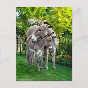 Carte postale "Pâques et bébé Eno"