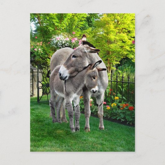 Carte postale "Pâques et bébé Eno" (Devant)