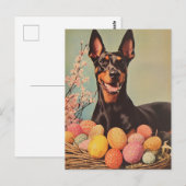 Carte Postale Pâques Vintages Dobermann (Devant / Derrière)