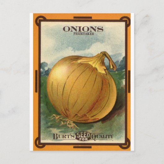 Carte Postale paquet de graines d'oignon (Devant)