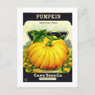 Carte Postale Paquet de semences de citrouille d'Halloween Vinta