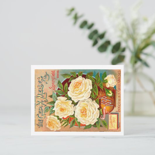 Carte Postale Paquet de semences vintage. (Debout devant)