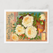 Carte Postale Paquet de semences vintage. (Devant)