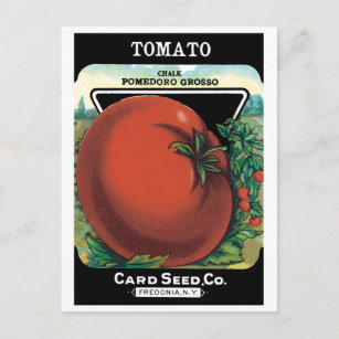 Carte Postale Paquet de semences vintage Art Étiquette, Tomato P