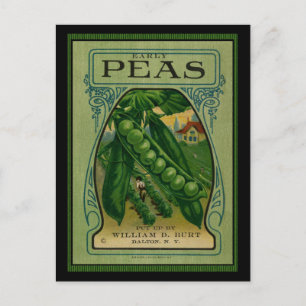 Carte Postale Paquet de semences Vintage pour petits pois