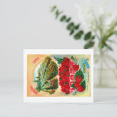 Carte Postale Paquets de graines.  (Debout devant)