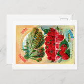 Carte Postale Paquets de graines.  (Devant / Derrière)