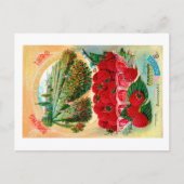 Carte Postale Paquets de graines.  (Devant)