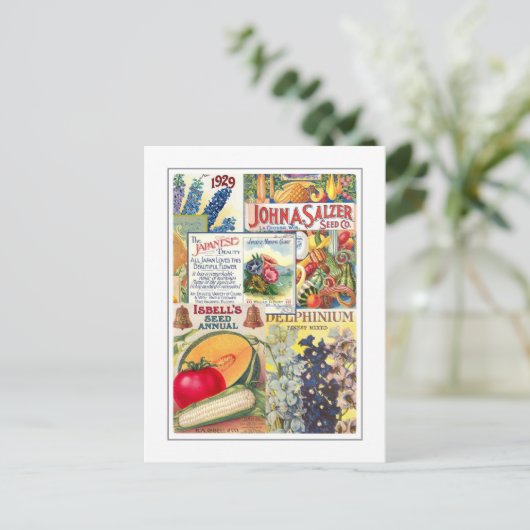 Carte Postale Paquets de graines (Debout devant)