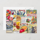 Carte Postale Paquets de semences (Devant / Derrière)