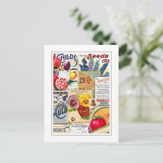 Carte Postale Paquets de semences (Debout devant)