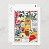 Carte Postale Paquets de semences (Devant / Derrière)