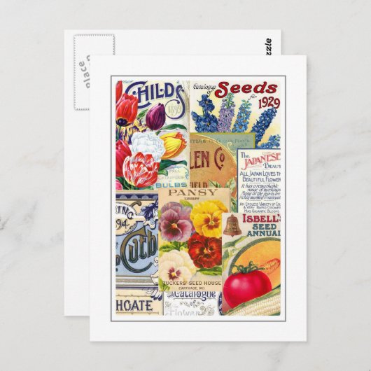 Carte Postale Paquets de semences (Devant / Derrière)