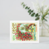 Carte Postale Paquets de semences. (Debout devant)