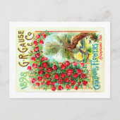 Carte Postale Paquets de semences. (Devant)