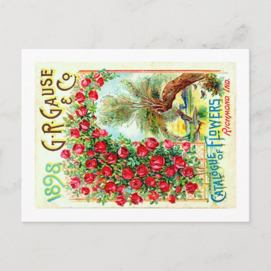 Carte Postale Paquets de semences. (Devant)