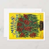 Carte Postale Paquets de semences. (Devant / Derrière)