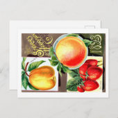 Carte Postale Paquets de semences. (Devant / Derrière)