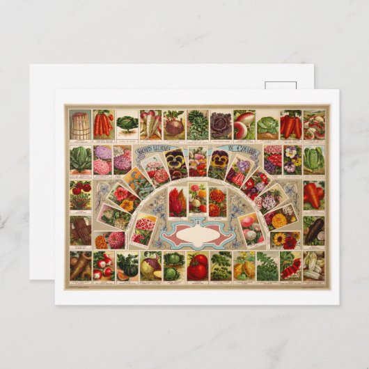 Carte Postale Paquets de semences vintages (Devant / Derrière)