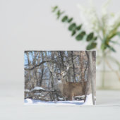 CARTE POSTALE PAR LA NEIGE PROFONDE (Debout devant)