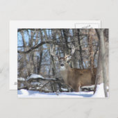 CARTE POSTALE PAR LA NEIGE PROFONDE (Devant / Derrière)