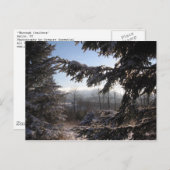 Carte Postale par les conifères (Devant / Derrière)