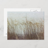 Carte Postale Par les dunes II (Devant / Derrière)