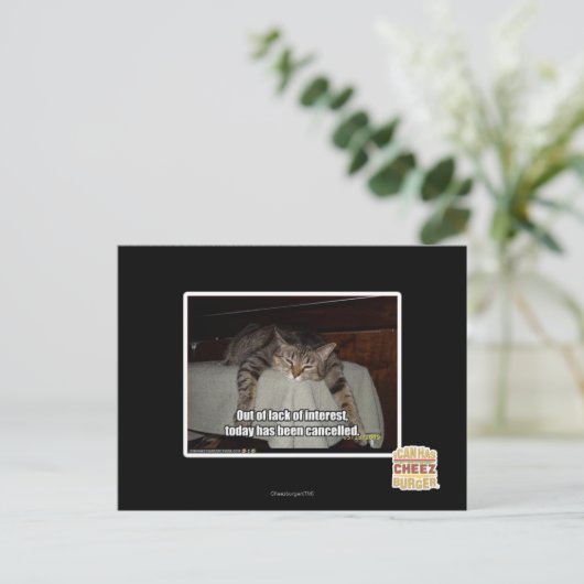 Carte Postale Par manque d'intérêt (Debout devant)