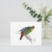 Carte Postale Parachute à front rouge (Debout devant)