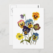 Carte Postale Parade brodée de Pansies (Devant / Derrière)
