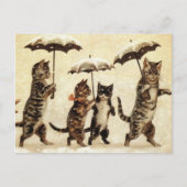 Carte Postale Parade de chats (Devant)