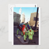 Carte Postale Parade des vaches de Chicago (Devant / Derrière)