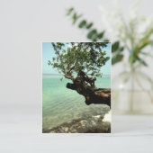 Carte Postale Paradis (Debout devant)