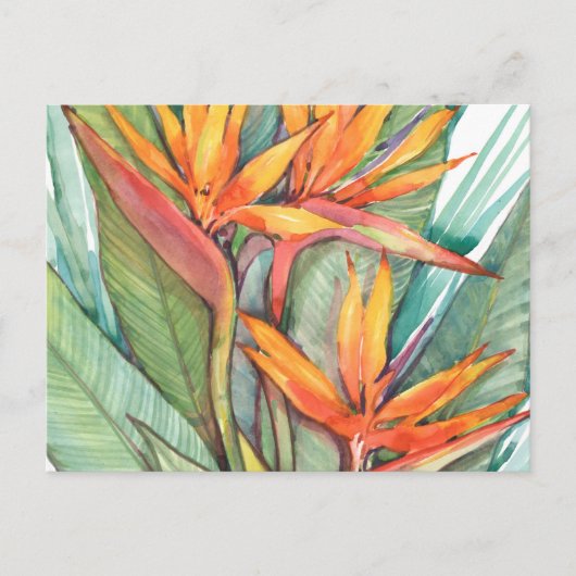 Carte Postale Paradis botanique tropical II (Devant)
