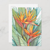 Carte Postale Paradis botanique tropical II (Devant / Derrière)