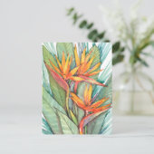 Carte Postale Paradis botanique tropical II (Debout devant)