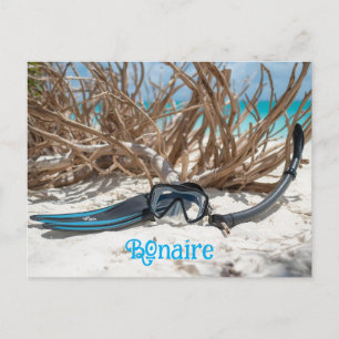 Carte Postale paradis de la plongée à Bonaire
