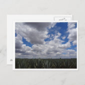 Carte Postale Paradis de la tequila d'Agave bleue à Jalisco, Mex (Devant / Derrière)