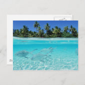 Carte Postale Paradis de l'île (Devant / Derrière)