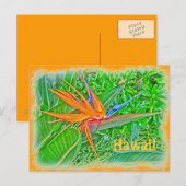 Carte postale paradis des oiseaux d'Hawaï (Devant / Derrière)